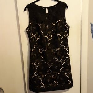White House Black Market Starlet dress